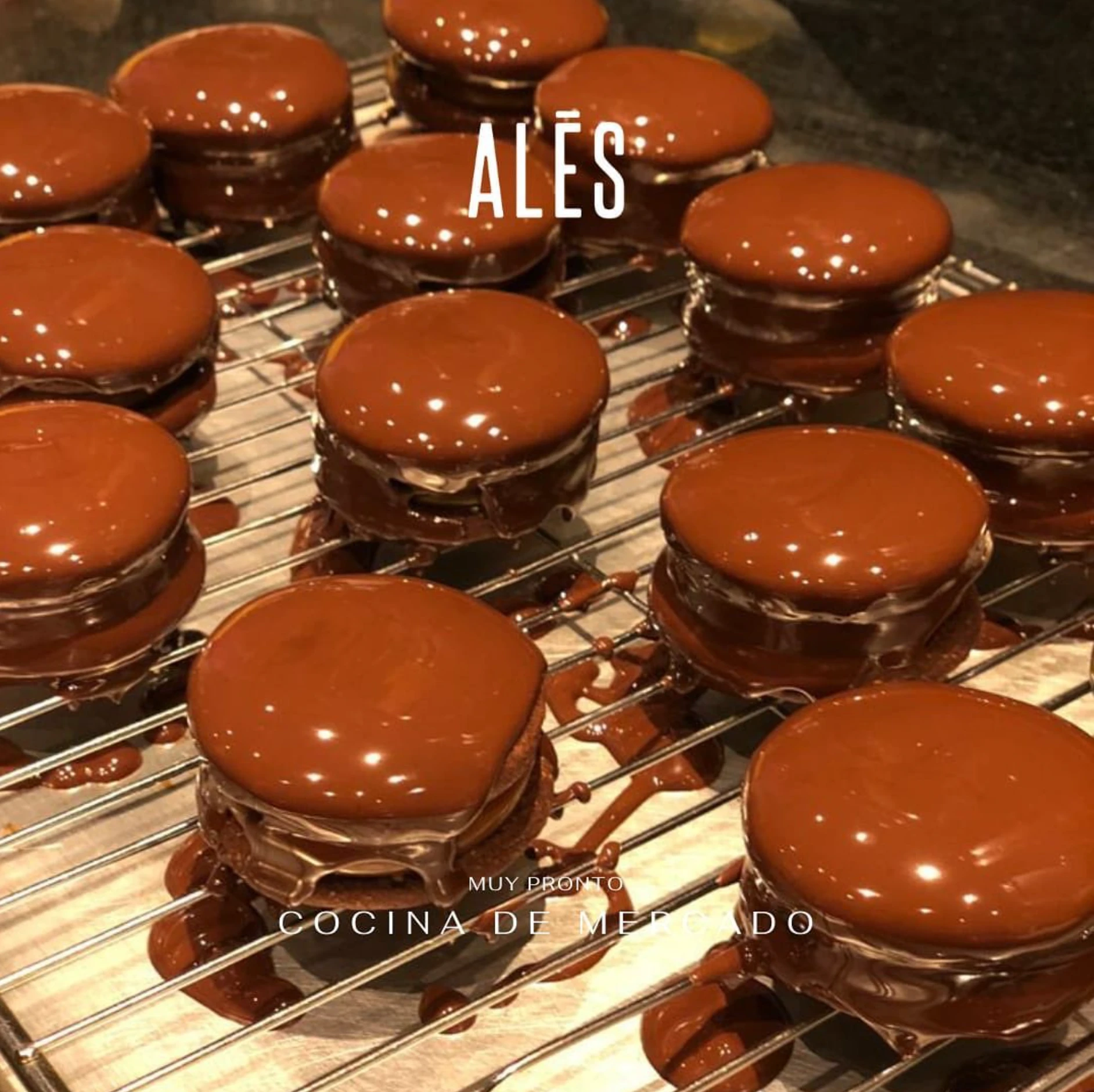 ALES Graphic