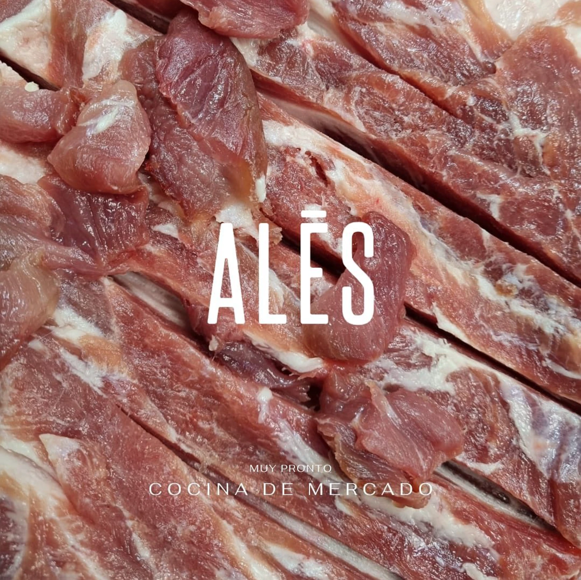 ALES Branding